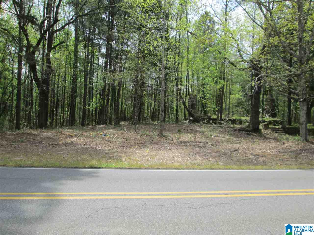 2460 Corner Road Warrior, AL 35180 - Photo 3 of 13