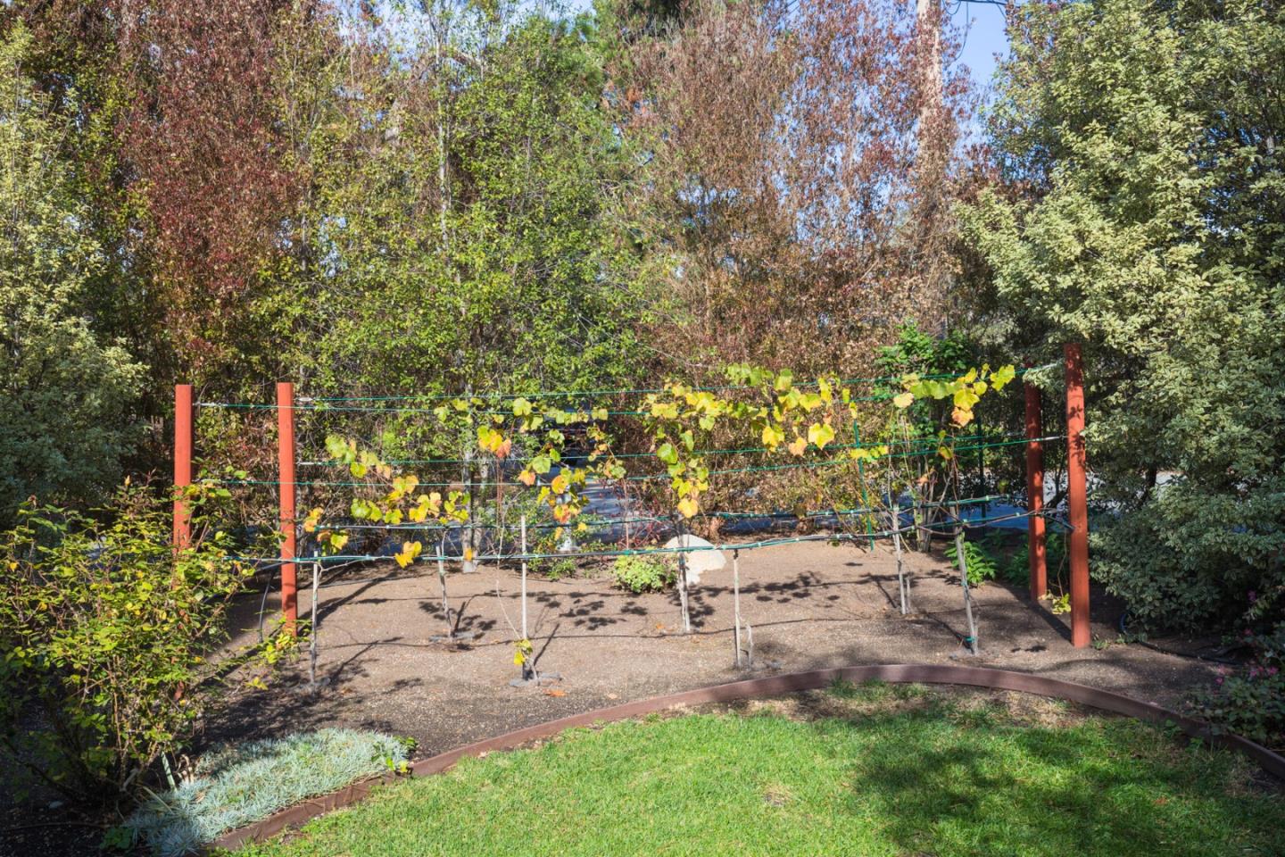 25064 Hatton Road Carmel, CA 93923 - Photo 7 of 21 a view of outdoor space with deck and tree