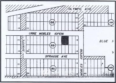 11-20 Orre Nobles Road Union, WA 98592 - Photo 1 of 1 Gallery Image 1