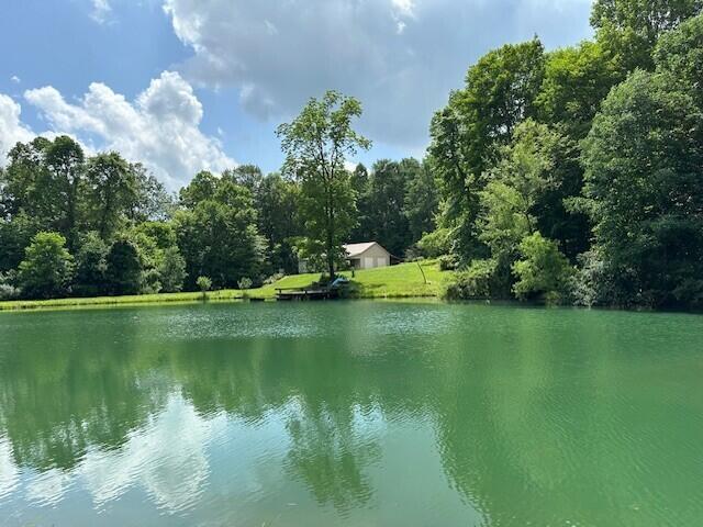 7751 Mulberry Road Heath, OH 43056 - Photo 2 of 70 LARGE 3/4 ACRE STOCKED POND WITH FISHING DOCK