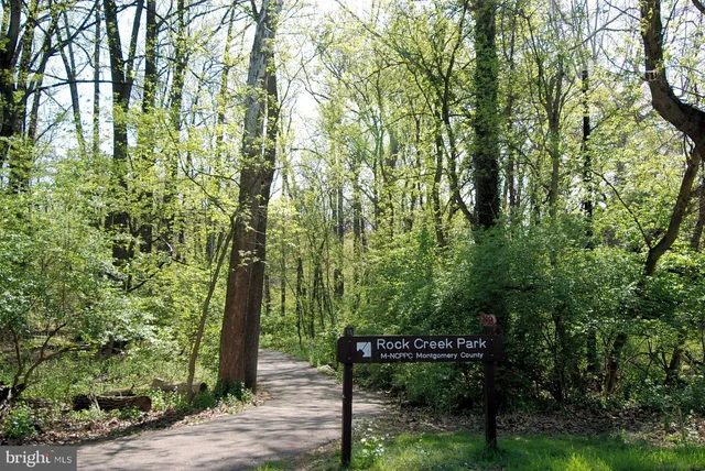 a sign that is sitting in front of a tree
