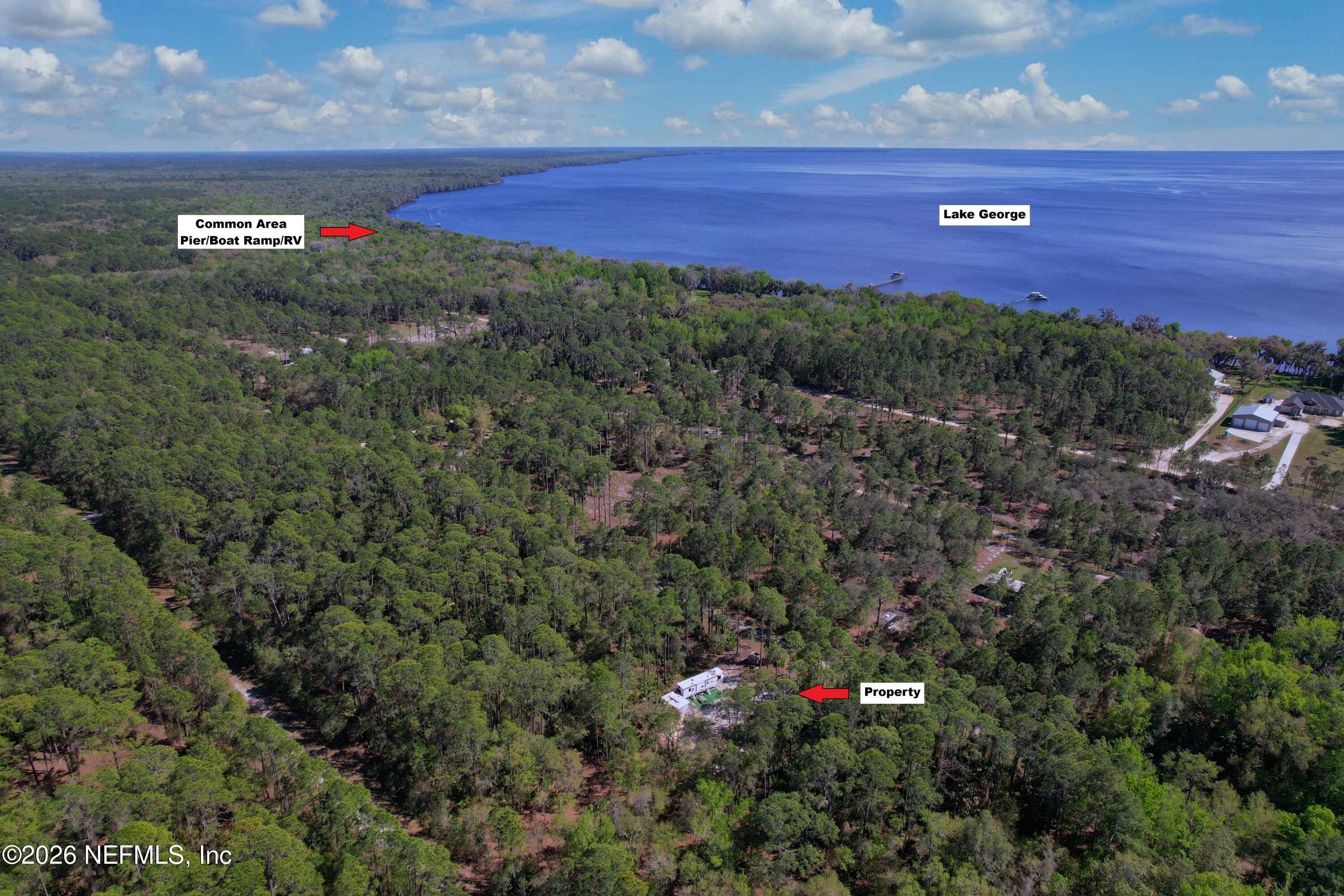 124 Marie Avenue Georgetown, FL 32139 - Photo 5 of 17 5