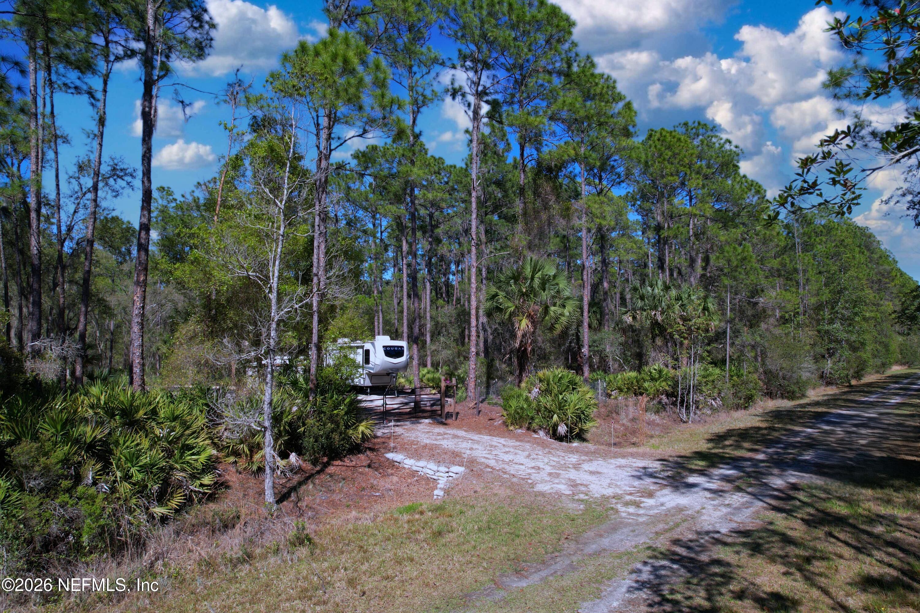 124 Marie Avenue Georgetown, FL 32139 - Photo 6 of 17 6