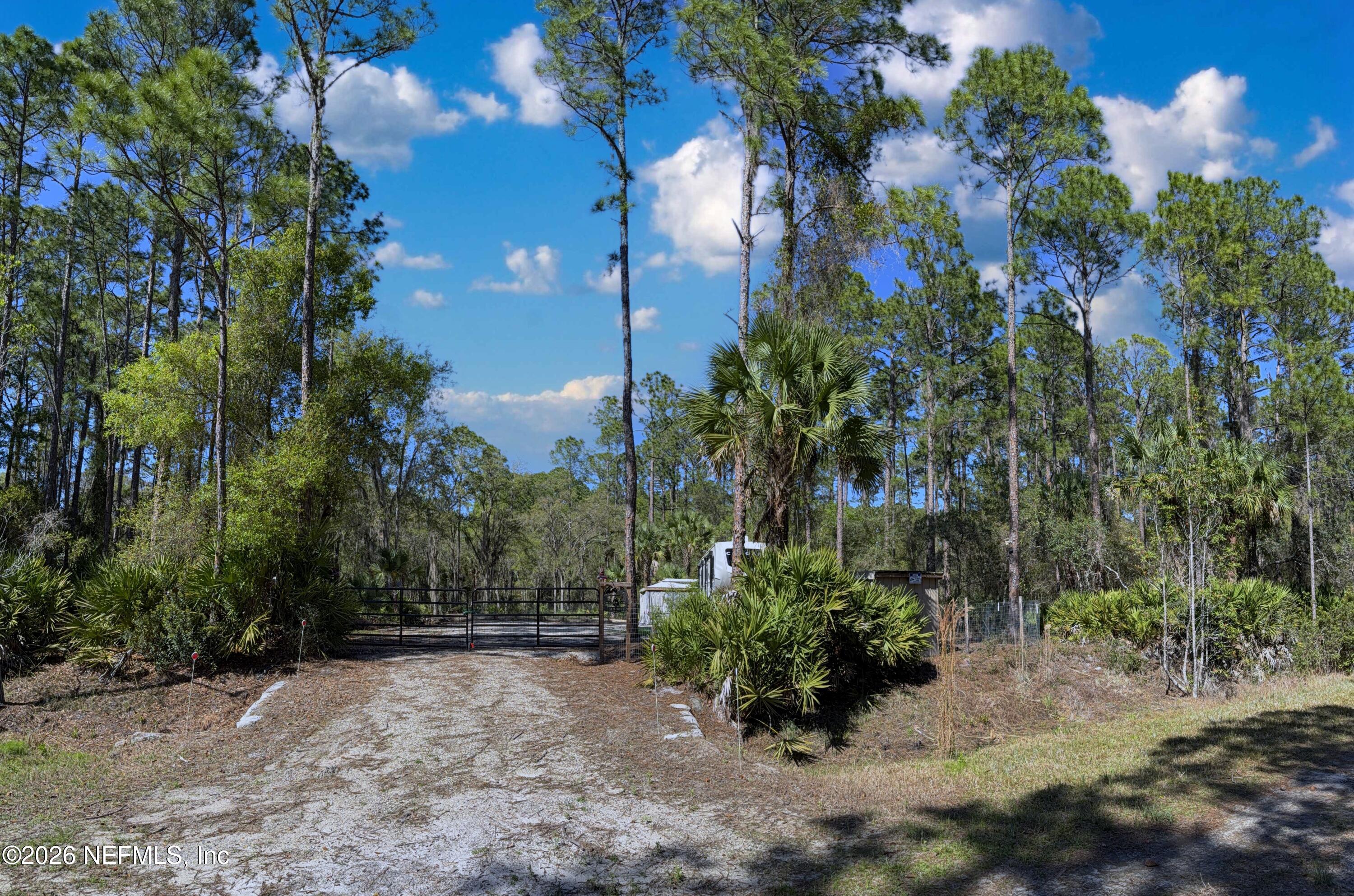 124 Marie Avenue Georgetown, FL 32139 - Photo 8 of 17 1