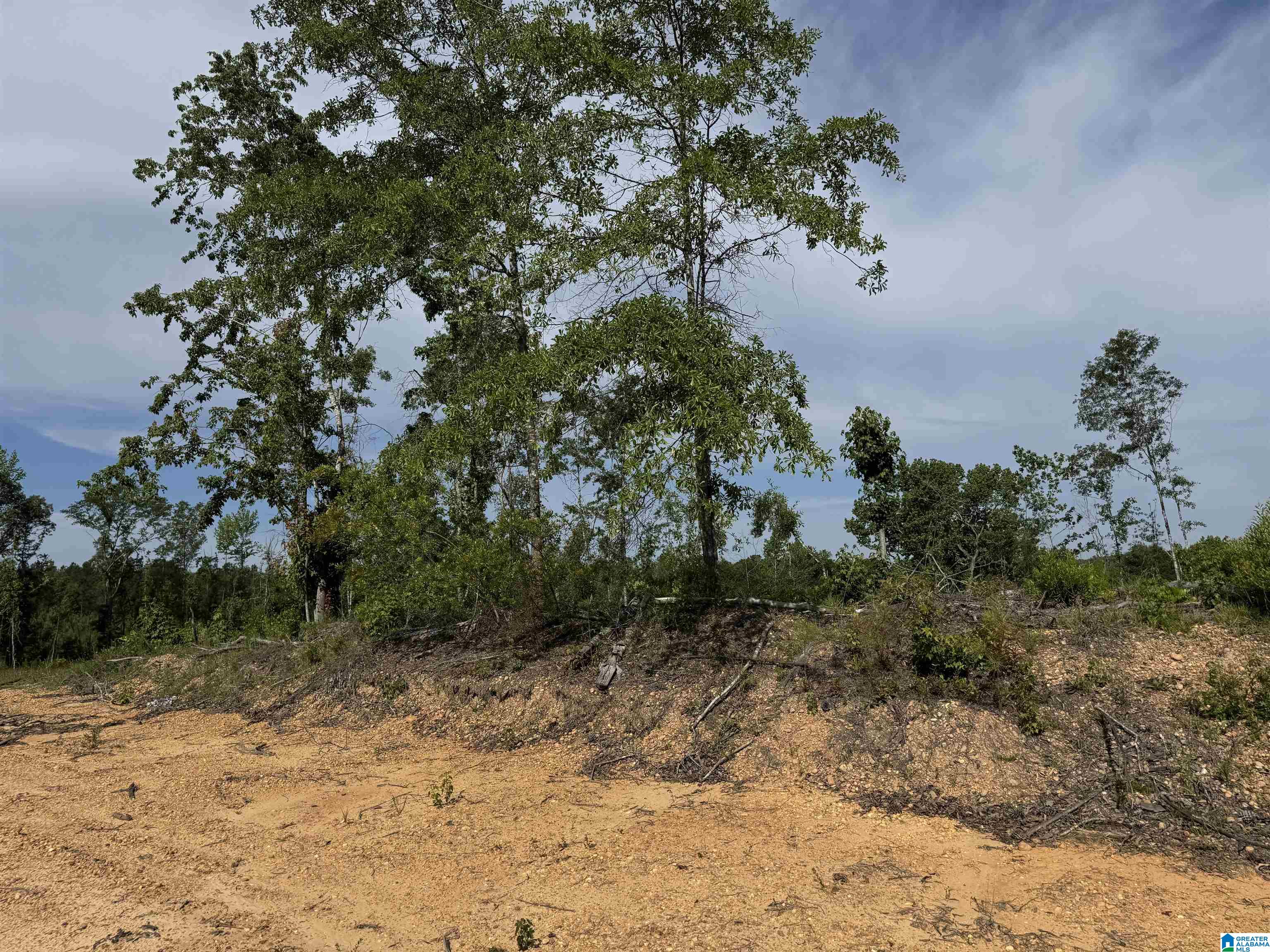 Active Road, Unit 5 Lawley, AL 36793 - Photo 15 of 38
