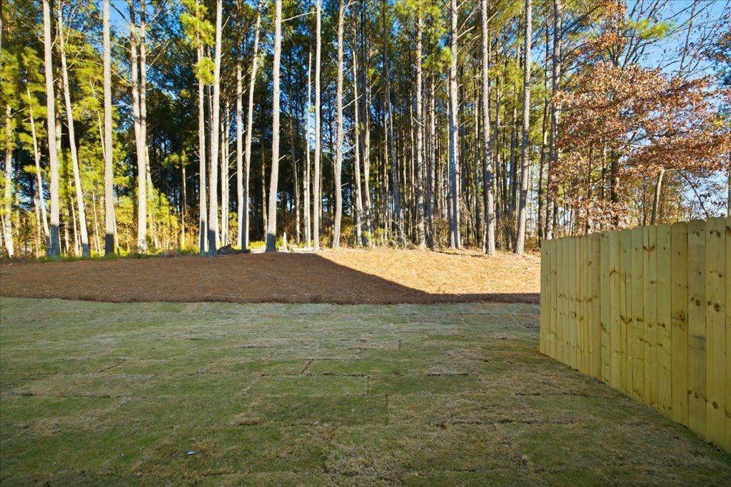 2555 Riverside Court Northeast Conyers, GA 30013 - Photo 32 of 33 a view of a field with a tree