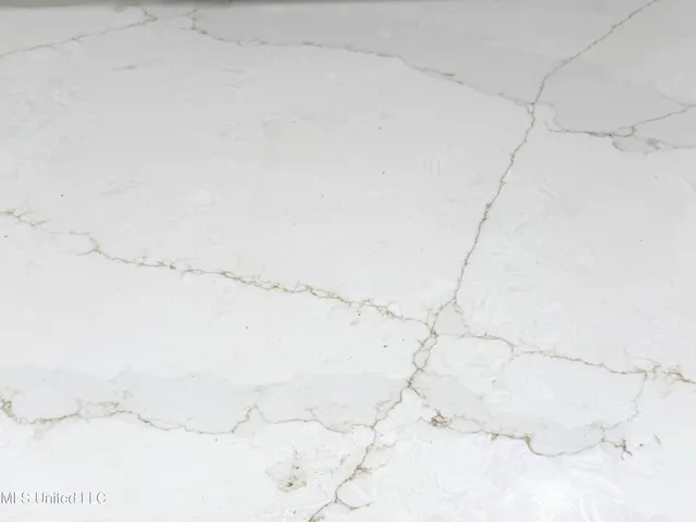 $595,000 | 12 Point Clear Drive, Carriere, MS 39426