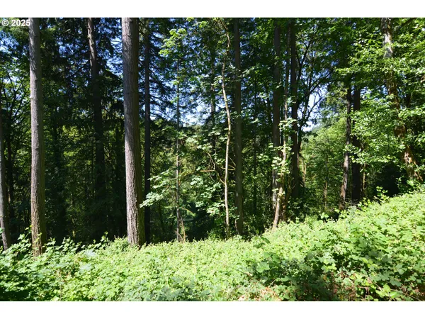 $57,900 | 2429 Archwood Drive, Longview, WA 98632