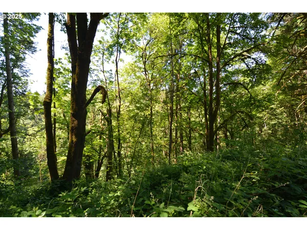 a view of outdoor space and green space