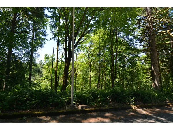 a view of backyard with green space