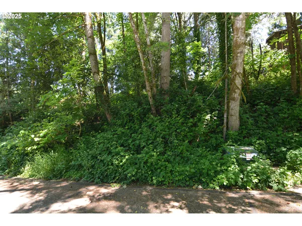 a view of backyard with green space