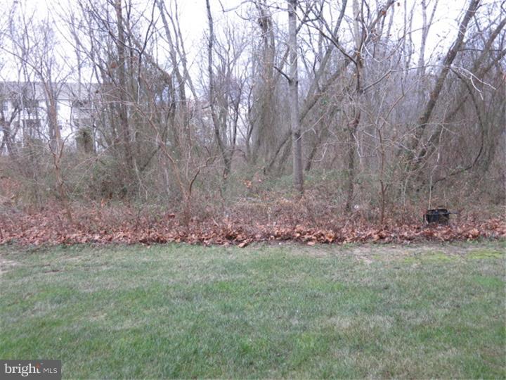 164 Natalie Road Delran, NJ 08075 - Photo 18 of 18 View in Back