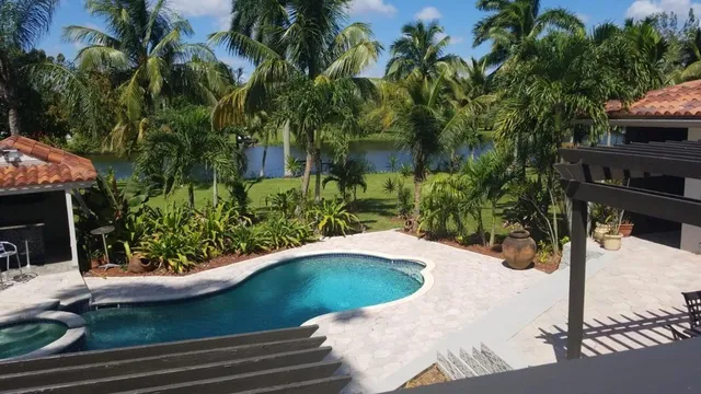 a view of a backyard with plants