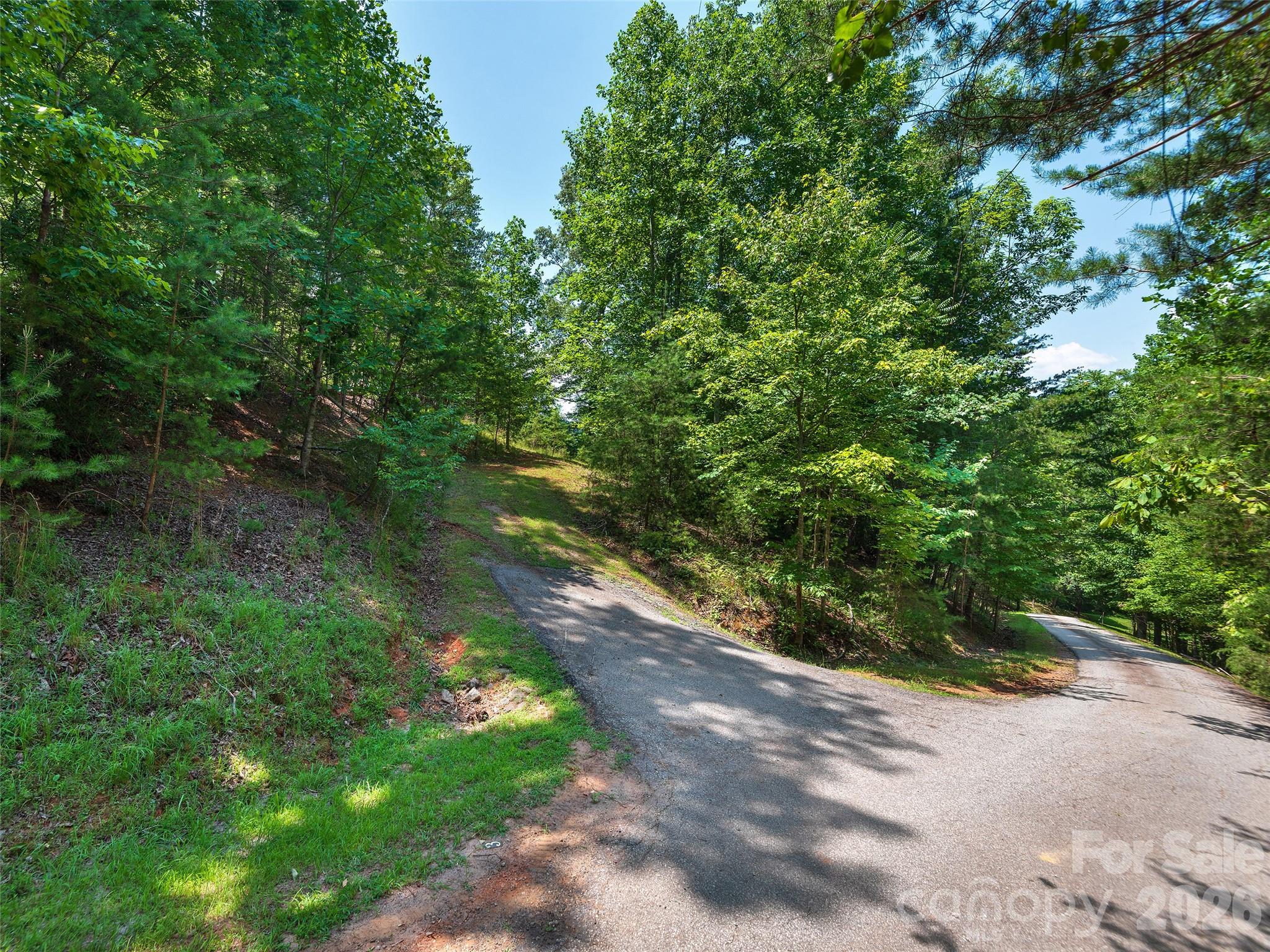 Lot 3 Loggers Pass Ln Mill Spring Mill Spring, NC 28756 - Photo 13 of 13