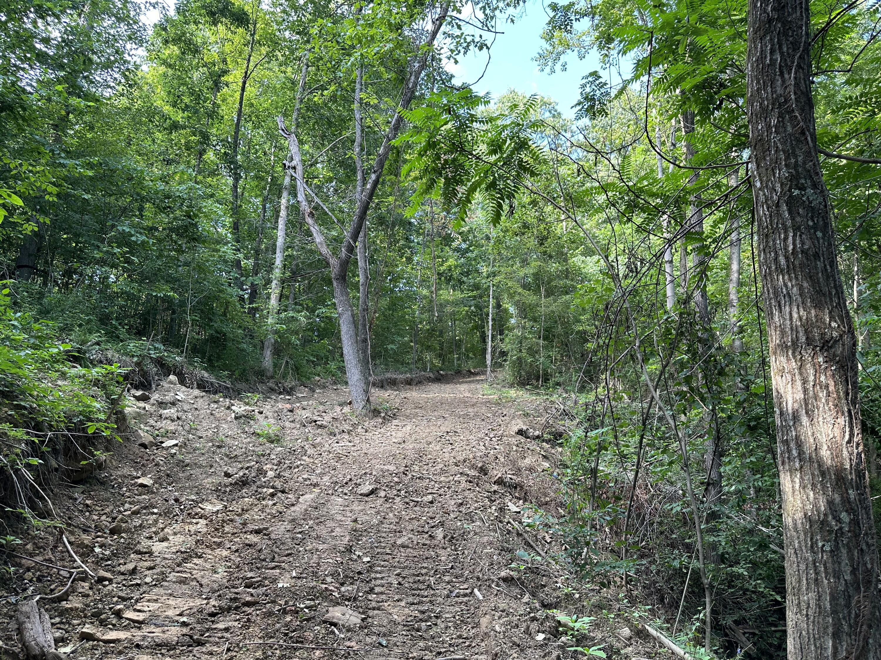 6690 Old State Road, Unit PERRY RIDGE TRACT 6) Crooksville, OH 43731 - Photo 21 of 36 20230804_211536982_iOS