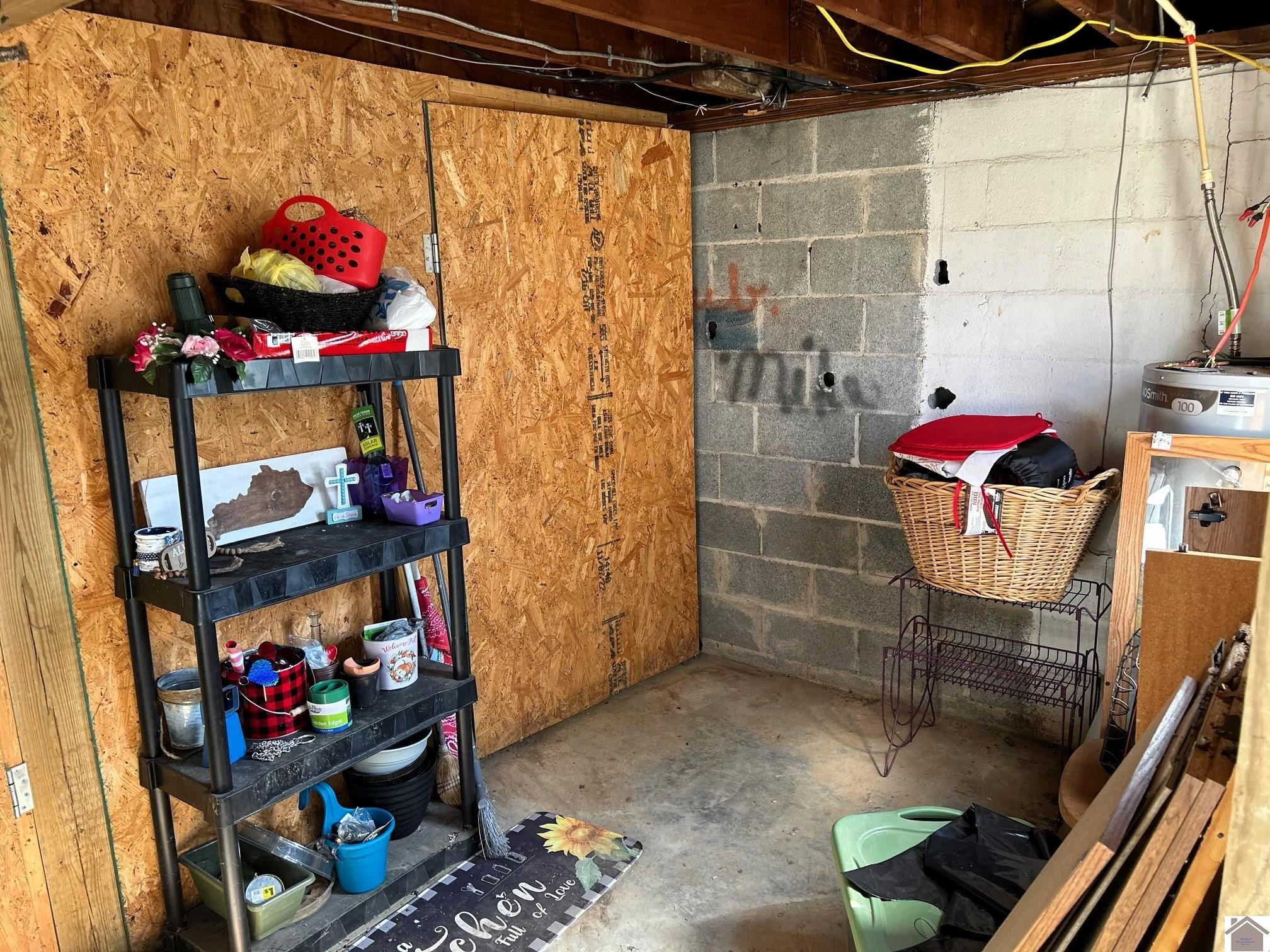 307 Wright Street Mayfield, KY 42066 - Photo 4 of 17 Storage in detached garage