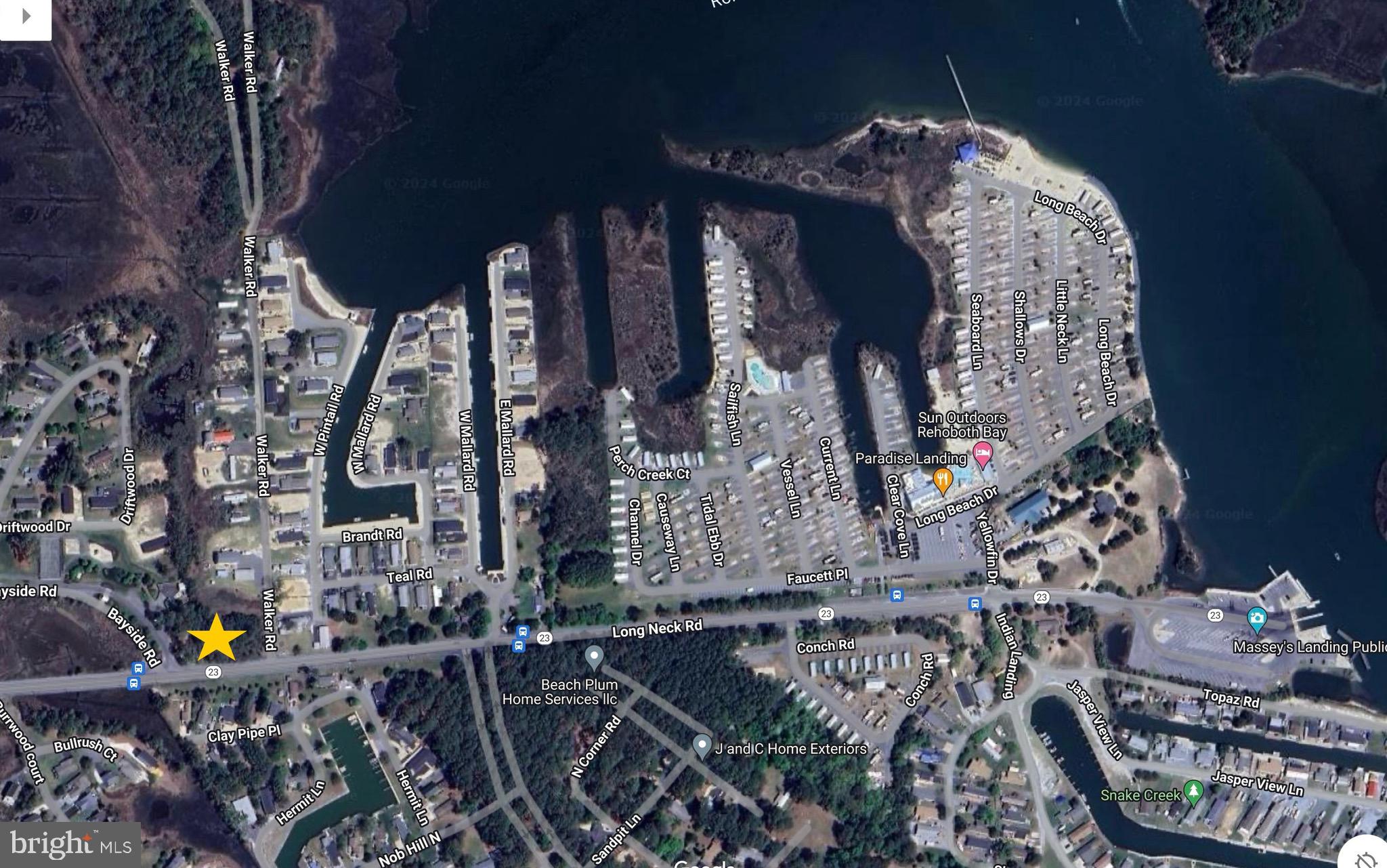 Lot 1 Long Neck Road Millsboro, DE 19966 - Photo 10 of 11 a picture of trees