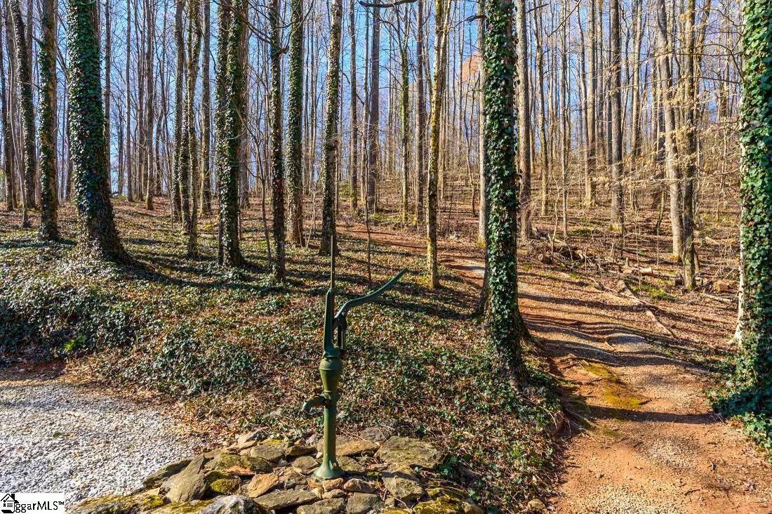 9045 North Tigerville Road Travelers Rest, SC 29690 - Photo 20 of 29 Gallery Image 20