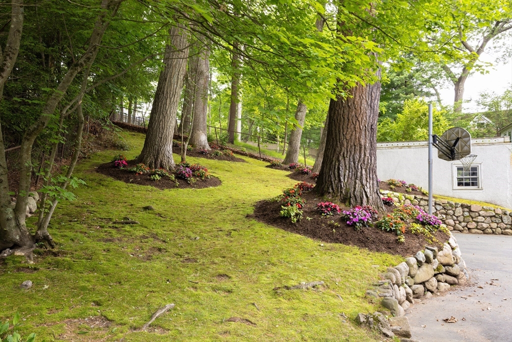 5 Southwick Road Newton, MA 02468 - Photo 25 of 25 a view of a garden with a tree