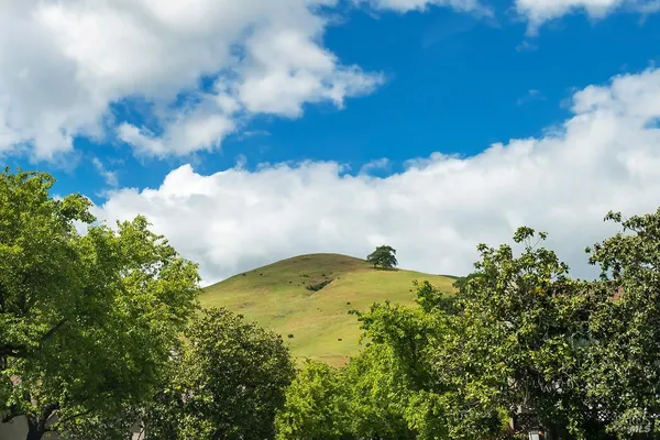 $799,000 | 6 Cottonwood Place, Novato, CA 94945