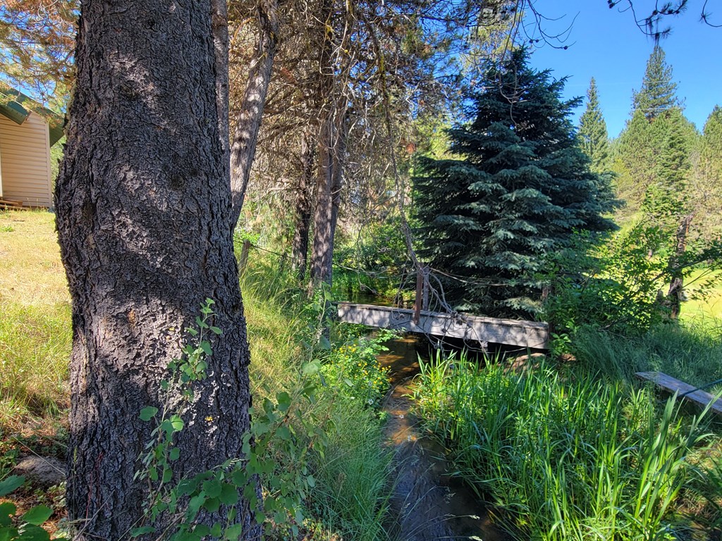 10525 Skunk Creek Road Cascade, ID 83611 - Photo 35 of 41 Bridge