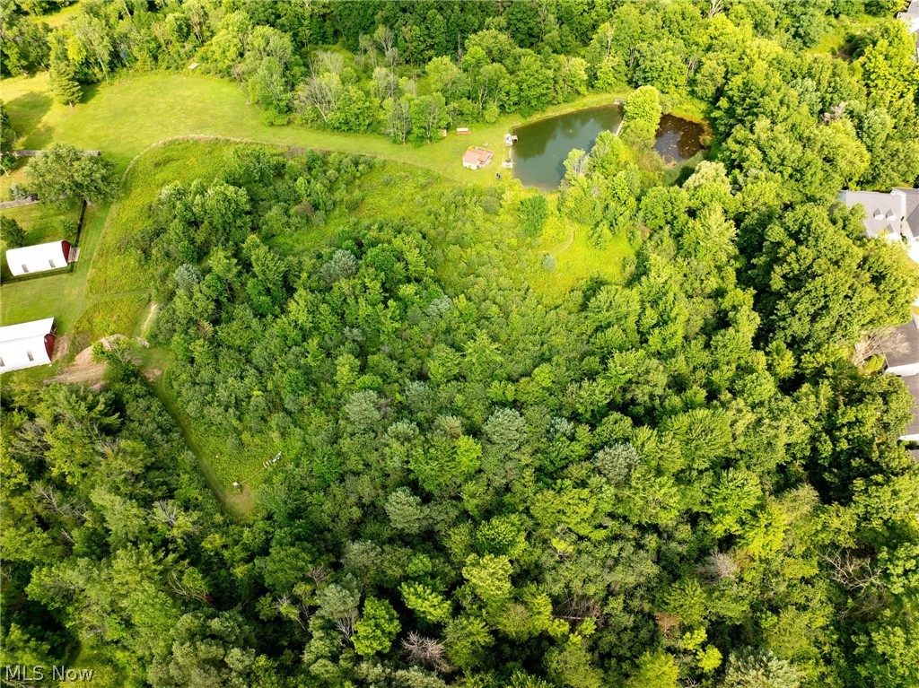 Bennett Road North Royalton, OH 44133 - Photo 23 of 26 Expansive wooded property featuring two distinct ponds and open grassy areas