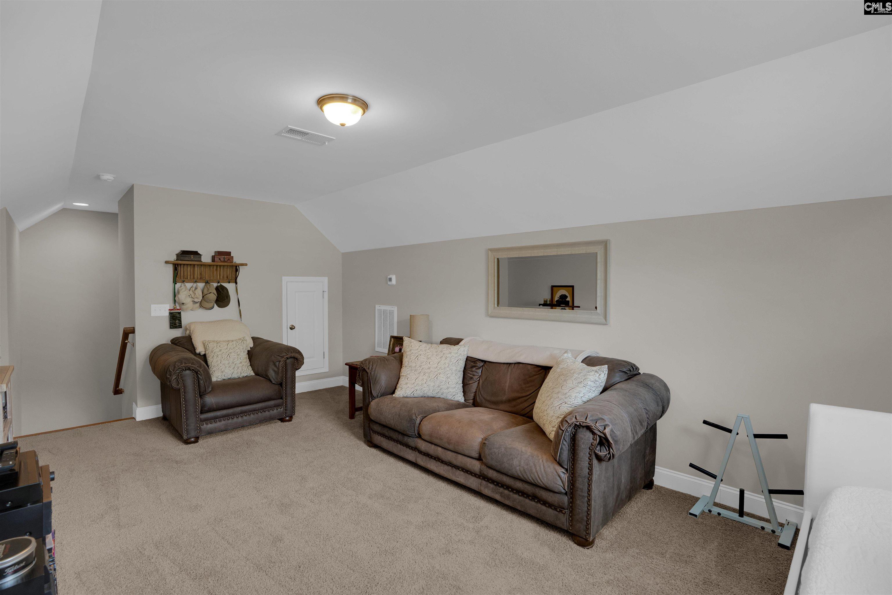 238 Hilton View Court Chapin, SC 29036 - Photo 37 of 63