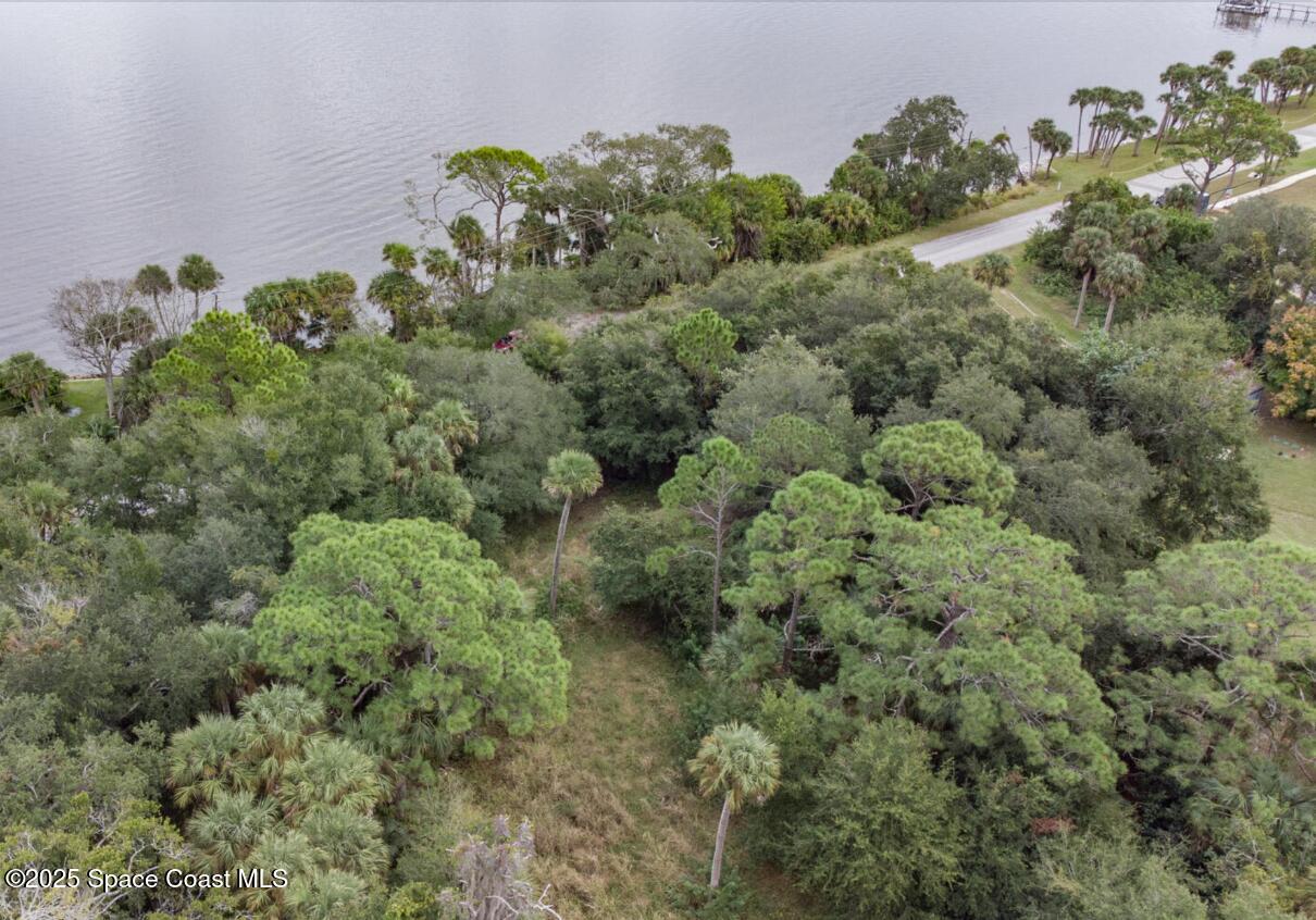 5122 Riveredge Drive Titusville, FL 32780 - Photo 9 of 15 a view of a garden with a plant