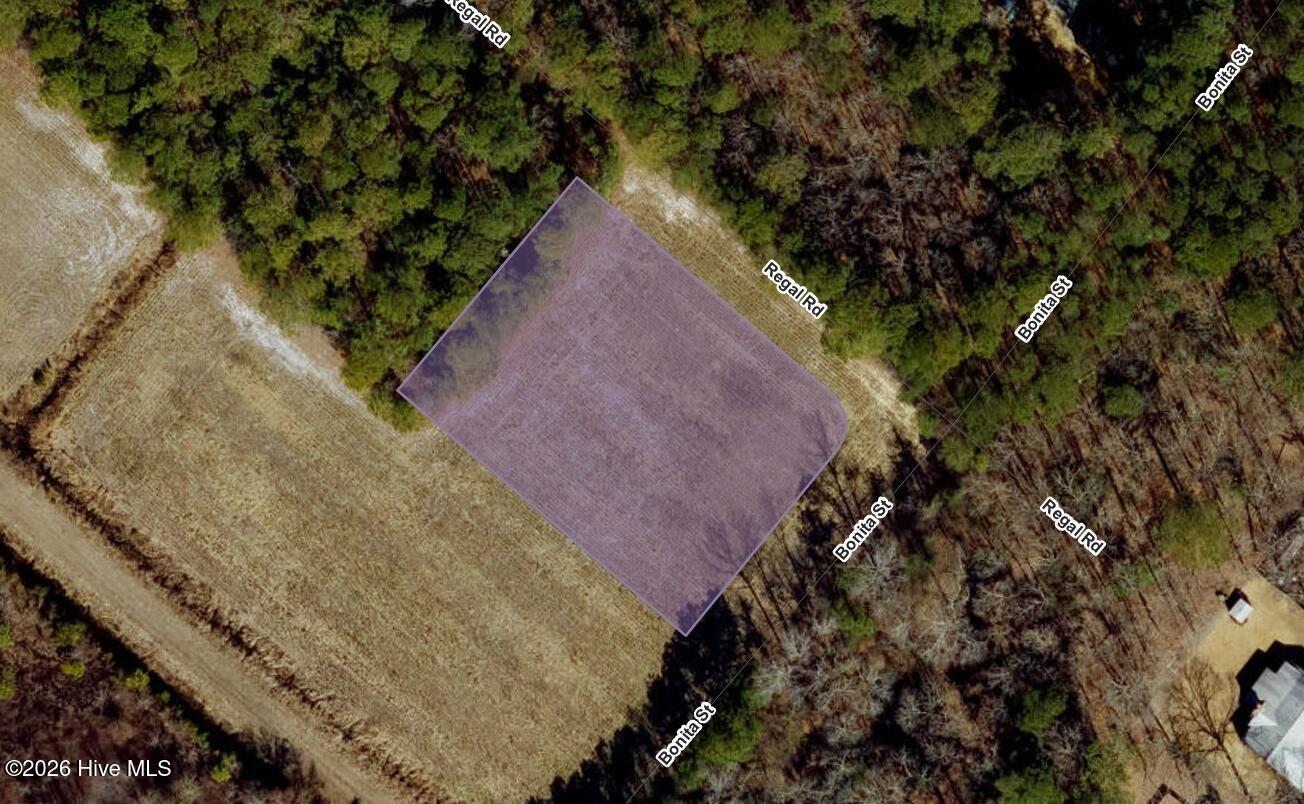 1005 Regal Road Goldsboro, NC 27534 - Photo 5 of 5