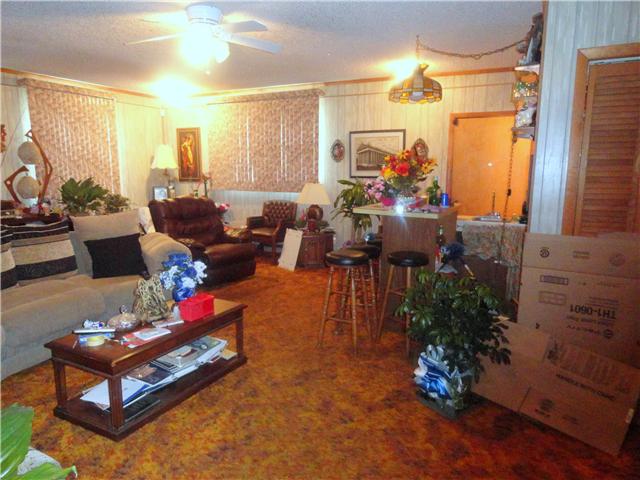 4014 West Hamilton Road Nashville, TN 37218 - Photo 7 of 7 The massive den can easily opt for a modern day theatre or bonus room