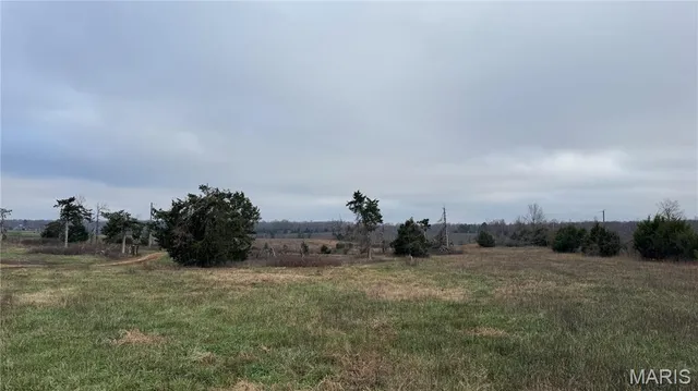 $59,500 | 890 Ripley Z-3, Gatewood, MO 63942