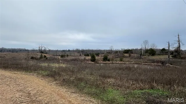 $59,500 | 890 Ripley Z-3, Gatewood, MO 63942