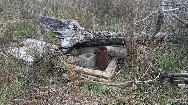 $59,500 | 890 Ripley Z-3, Gatewood, MO 63942