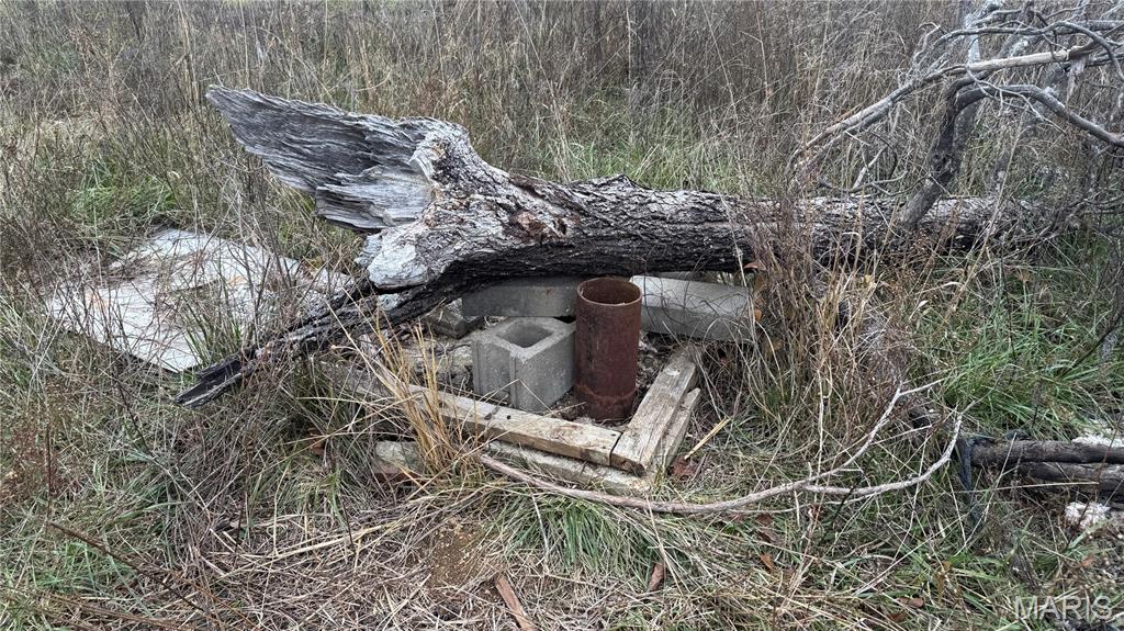 890 Ripley Z-3 Gatewood, MO 63942 - Photo 6 of 8