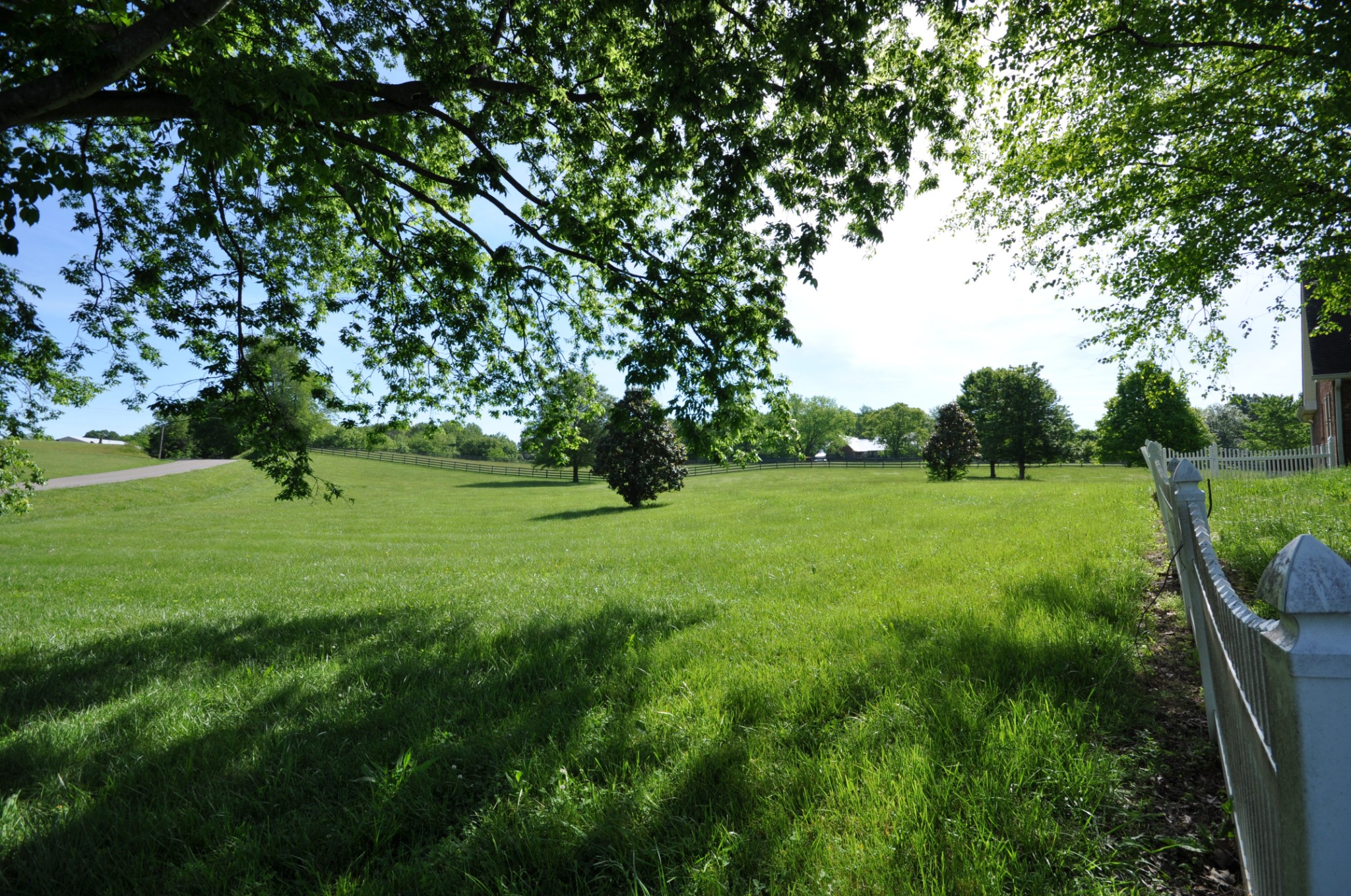 5620 Sango Road Cedar Hill, TN 37032 - Photo 5 of 37 a view of grassy field with benches