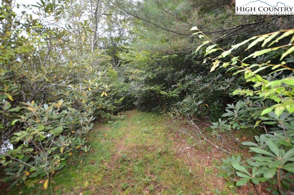 Creek Court Road Jefferson, NC 28640 - Photo 7 of 11 Gallery Image 7