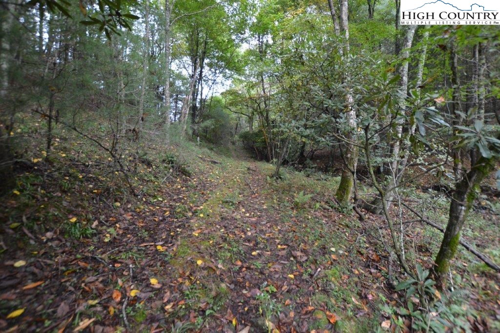 Creek Court Road Jefferson, NC 28640 - Photo 10 of 11 Gallery Image 10