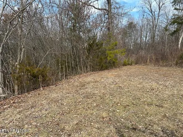 $30,000 | 0 West Drive, Parrottsville, TN 37843