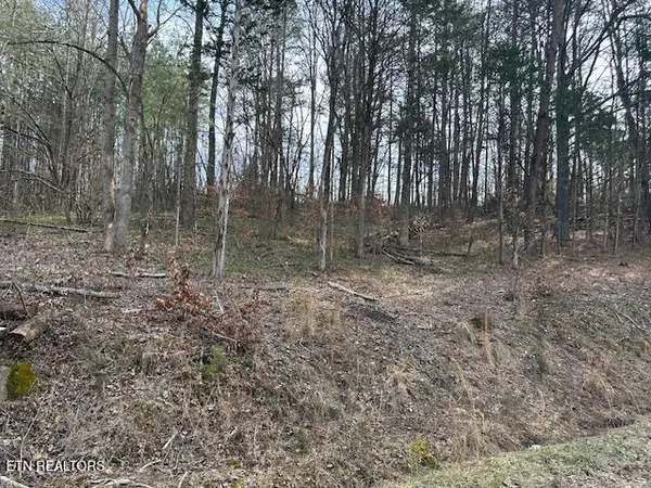 $30,000 | 0 West Drive, Parrottsville, TN 37843