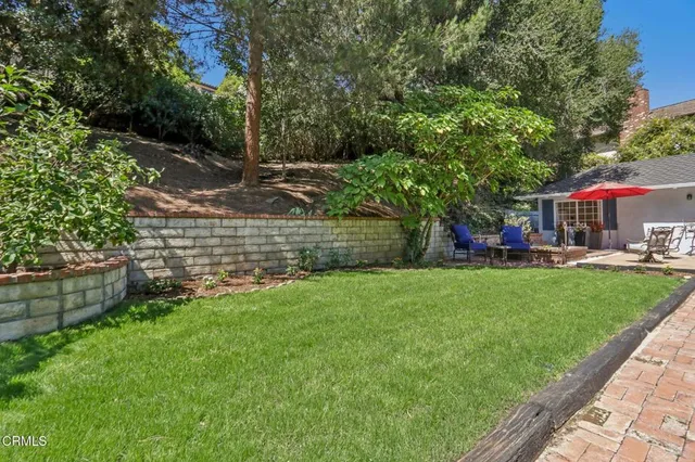 a view of a yard with plants and large trees