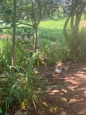 a map view of location