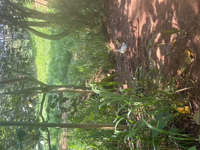 14 A Street, Unit 14A Kapaa, HI 96746 - Photo 3 of 7 a map view of location