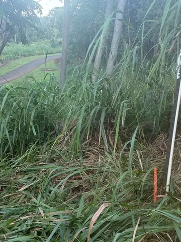 a view of an outdoor space with a lake view