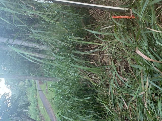 14 A Street, Unit 14A Kapaa, HI 96746 - Photo 5 of 7 a view of an outdoor space with a lake view