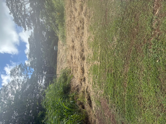 14 A Street, Unit 14A Kapaa, HI 96746 - Photo 6 of 7