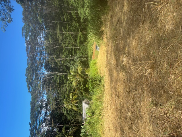 14 A Street, Unit 14A Kapaa, HI 96746 - Photo 7 of 7 a view of lake and mountain