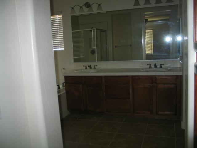 1333 South Martingale Road Gilbert, AZ 85296 - Photo 8 of 12 Double sinks