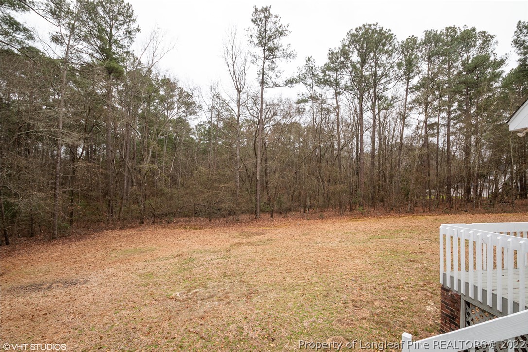 175 Lakeshore Drive Rockingham, NC 28379 - Photo 4 of 25 a view of yard