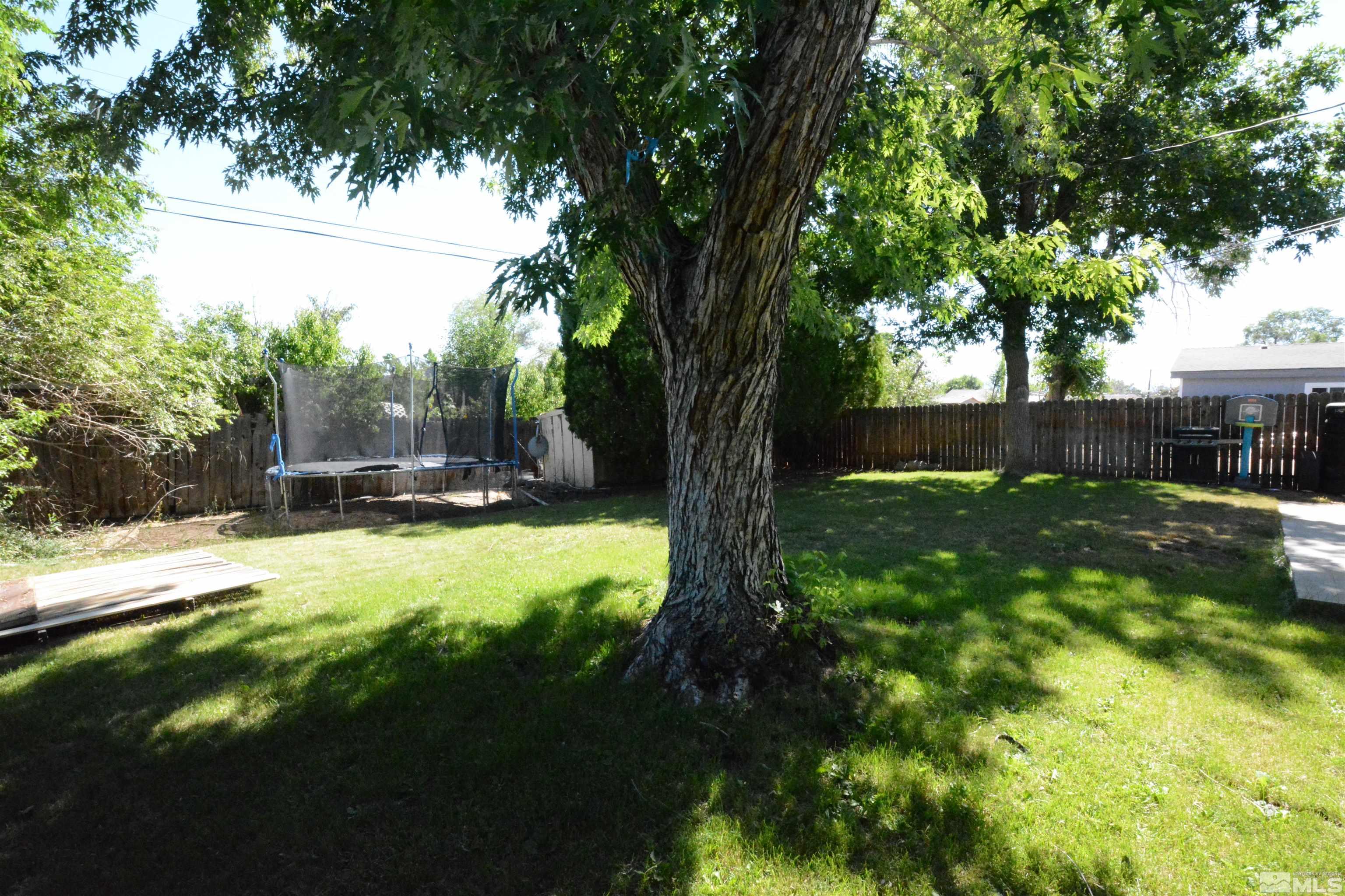 1930 Trainer Way Reno, NV 89512 - Photo 20 of 24 a view of a yard with plants and trees