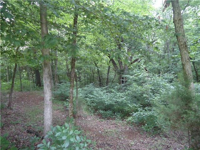 1211 Alf Harris Road Prospect, TN 38477 - Photo 3 of 20